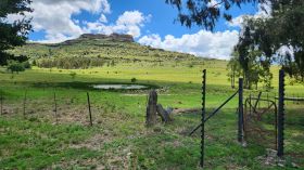 411458214_864749672319507_2053651253885726355_n